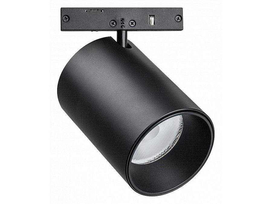 Светильник на штанге Lightstar Linea 206347