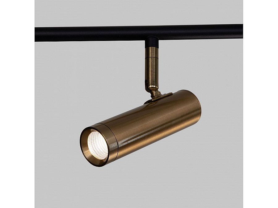 Светильник на штанге Eurosvet Epiphania 20252/6 LED черный/латунь