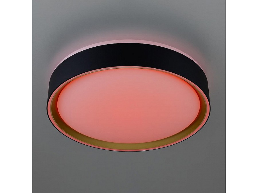 Накладной светильник Citilux BOSS CL751251G