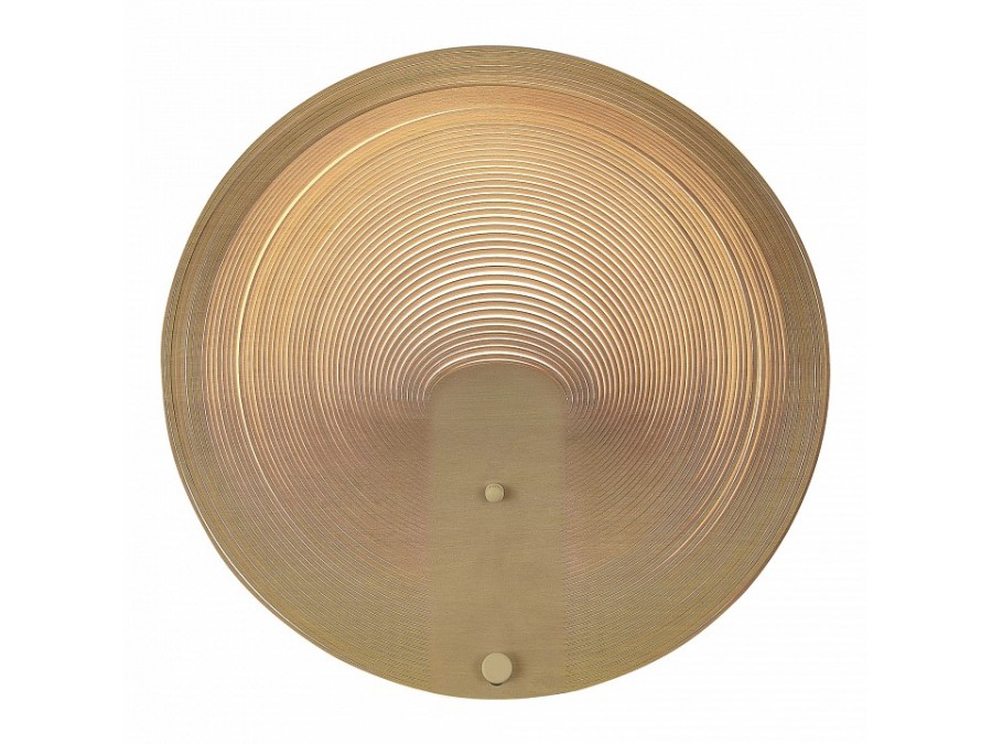 Накладной светильник ST-Luce Fossil SL6900.501.16