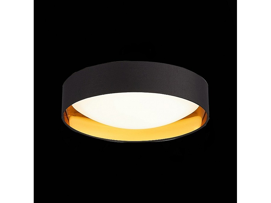 Накладной светильник EVOLUCE Orbio SLE201102-01