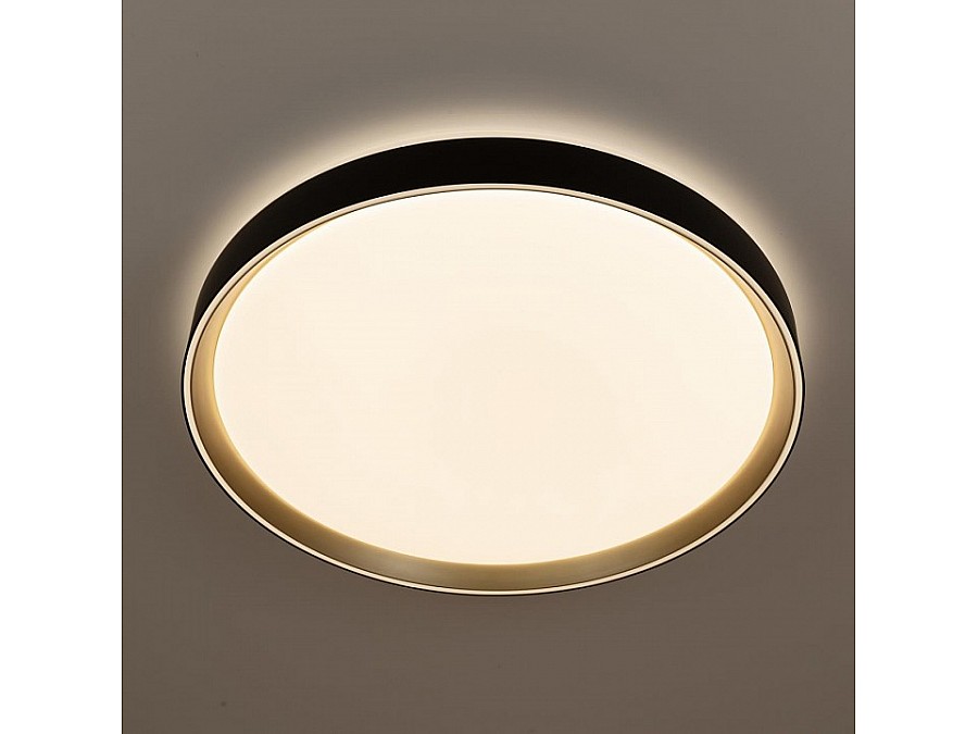 Накладной светильник Citilux BOSS CL751451G