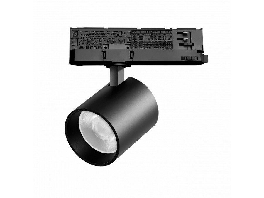 Светильник на штанге Lightstar Alta Base A5447QT36G