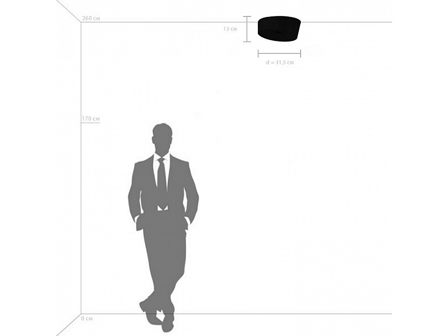 Накладной светильник Lightstar Celesta 809356