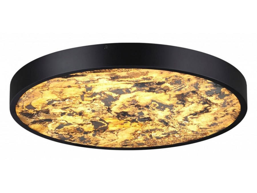 Накладной светильник Odeon Light Bergi 5064/40L