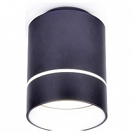 Накладной светильник Ambrella TN TN254