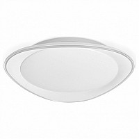 Накладной светильник Ambrella Light FF FF44
