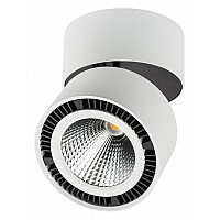 Светильник на штанге Lightstar Forte Muro LED 213830