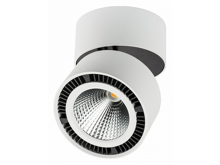 Светильник на штанге Lightstar Forte Muro LED 213830