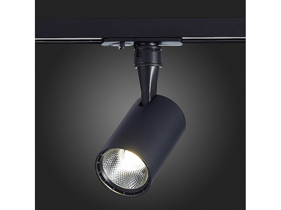 Светильник на штанге ST-Luce Cami ST351.446.10.36