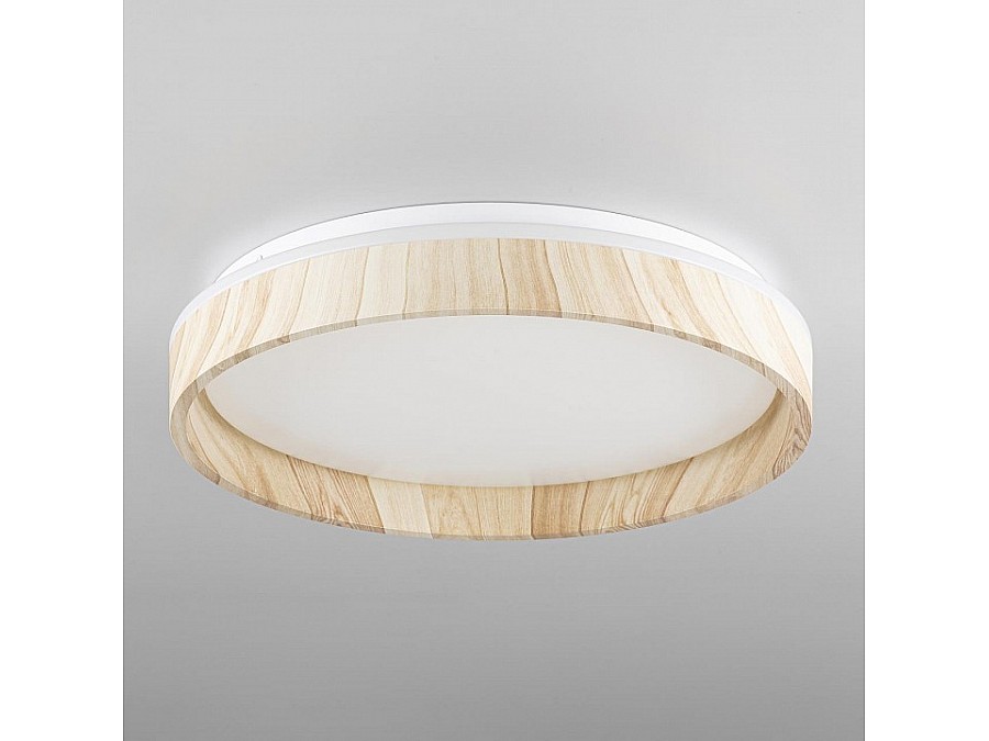 Накладной светильник Citilux ENZO CL753352G