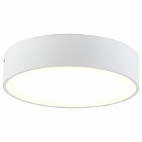 Накладной светильник Citilux Тао CL712180N