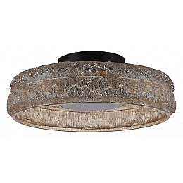 Накладной светильник ST-Luce ANTIKE SL6143.422.01