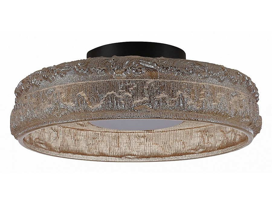 Накладной светильник ST-Luce ANTIKE SL6143.422.01