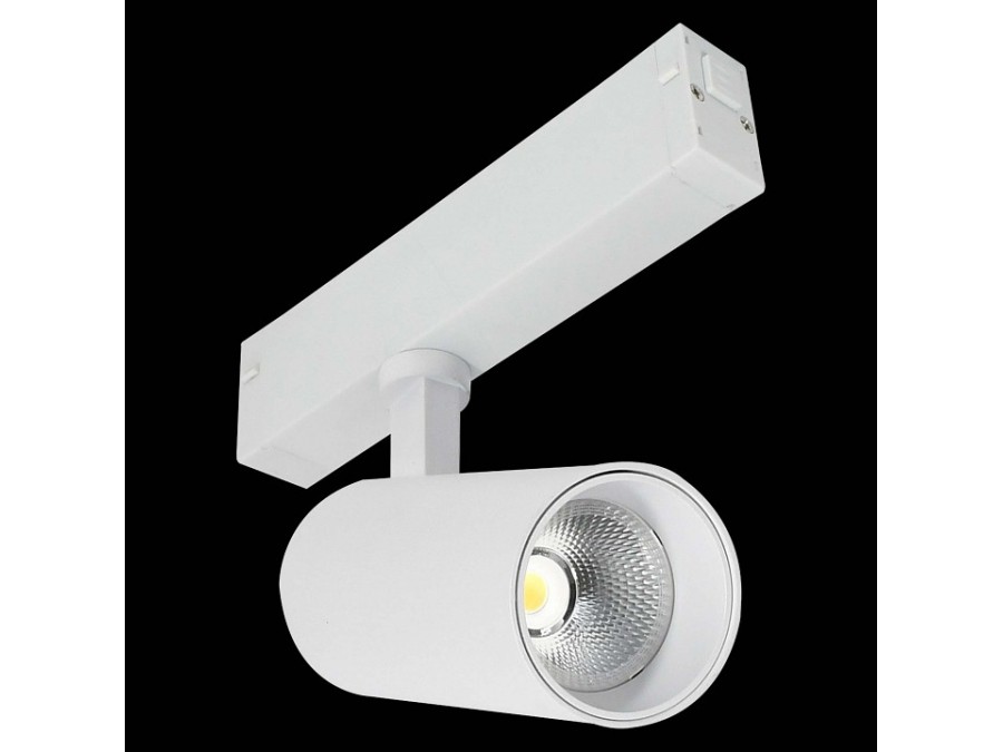 Светильник на штанге ST-Luce SKYLINE 220 ST660.596.10H