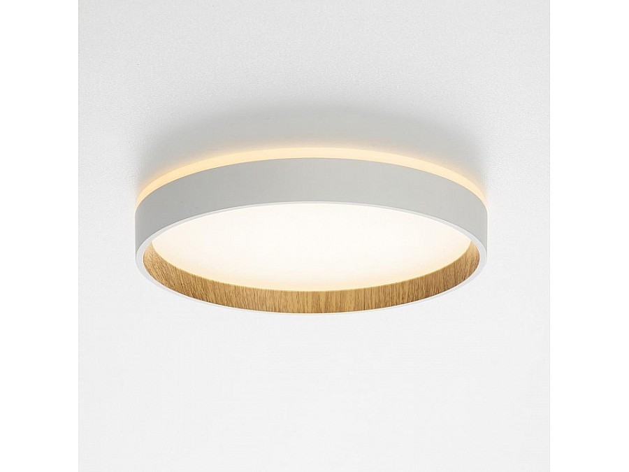 Накладной светильник Citilux Etalon CL750240