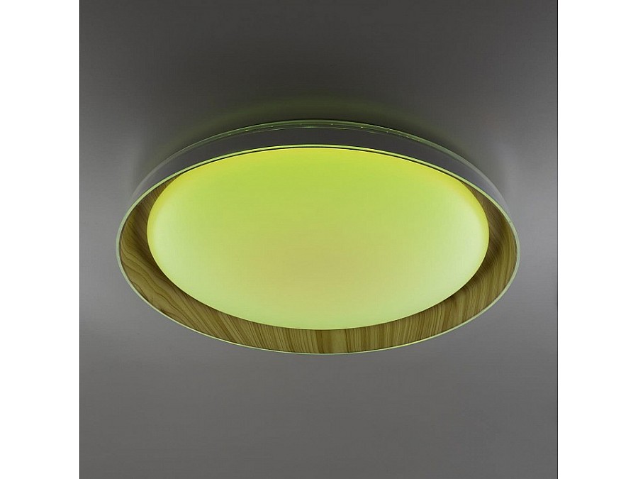 Накладной светильник Citilux MEGA CL752452G