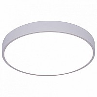 Накладной светильник Arte Lamp Arena A2661PL-1WH