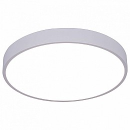 Накладной светильник Arte Lamp Arena A2661PL-1WH