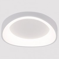 Накладной светильник Arte Lamp None A2698PL-48WH