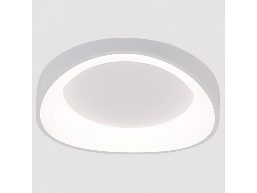 Накладной светильник Arte Lamp None A2698PL-48WH
