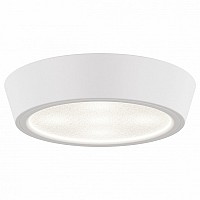 Накладной светильник Lightstar Urbano mini 214702