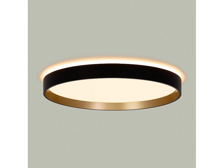 Накладной светильник Citilux ETALON CL750321R