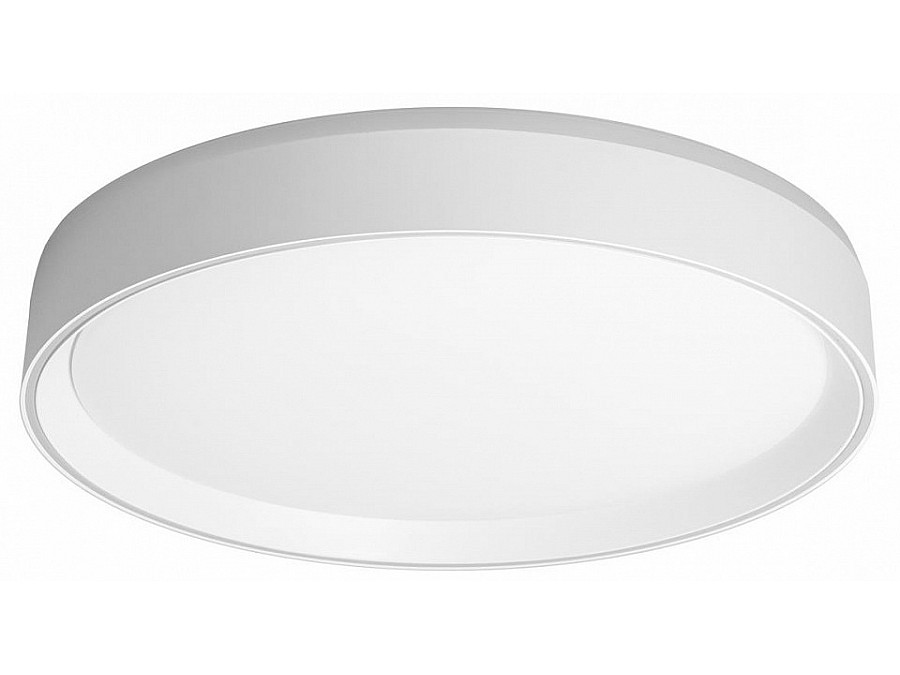 Накладной светильник Citilux BOSS CL751350G