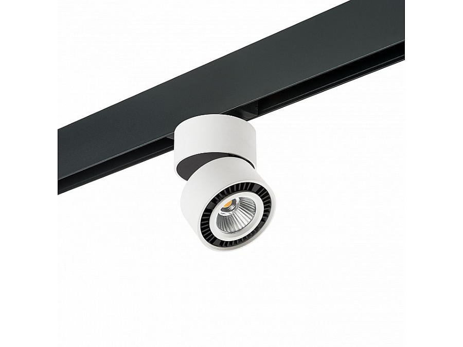 Светильник на штанге Lightstar Forte Muro PRO214816