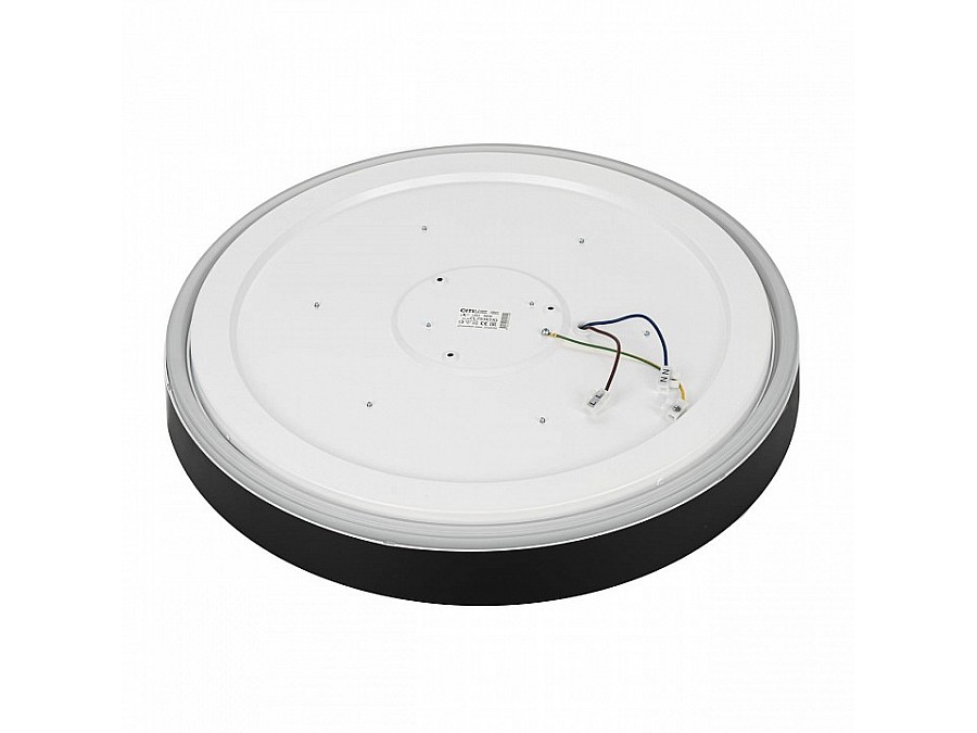 Накладной светильник Citilux BOSS CL751451G