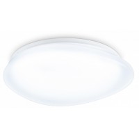 Накладной светильник Ambrella Light ORBITAL FZ1601