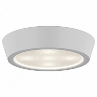 Накладной светильник Lightstar Urbano mini 214704