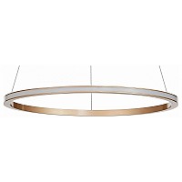 Подвесной светильник ST-Luce ST604 OUT ST604.243.22