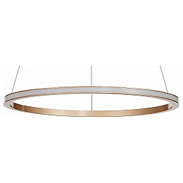 Подвесной светильник ST-Luce ST604 OUT ST604.243.22