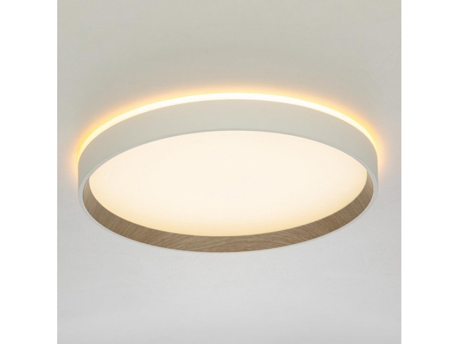 Накладной светильник Citilux ETALON CL750320R