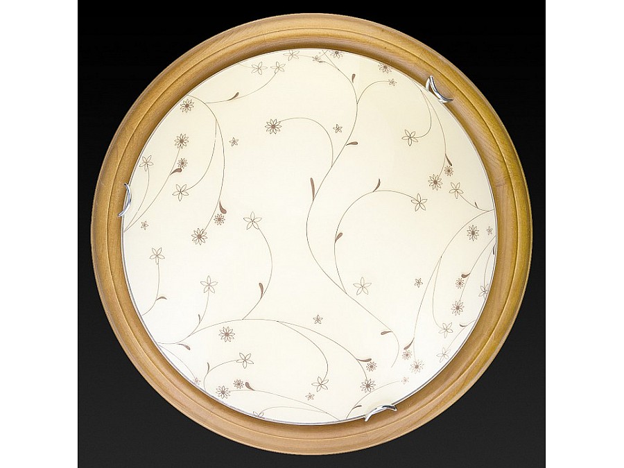 Накладной светильник TopLight Karissa TL9650Y-00OA