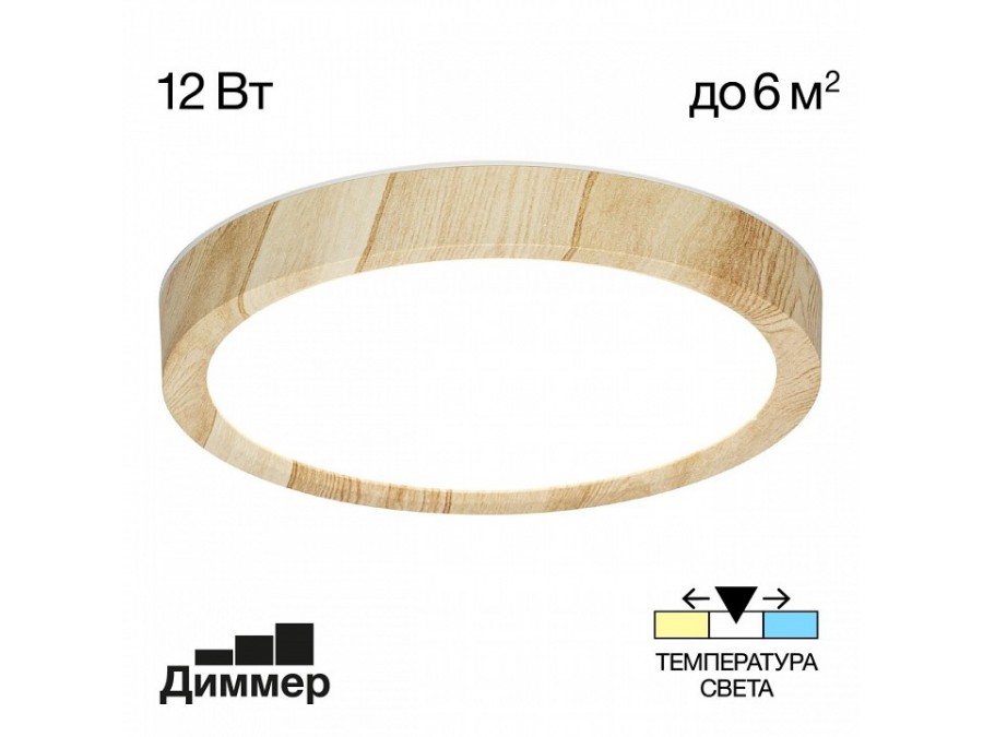 Накладной светильник Citilux Бейсик CL738122N