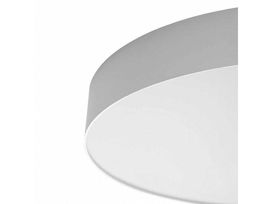 Накладной светильник Citilux BART CL755490