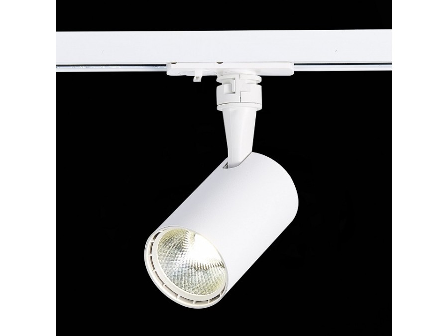 Светильник на штанге ST-Luce Cami ST351.536.10.24