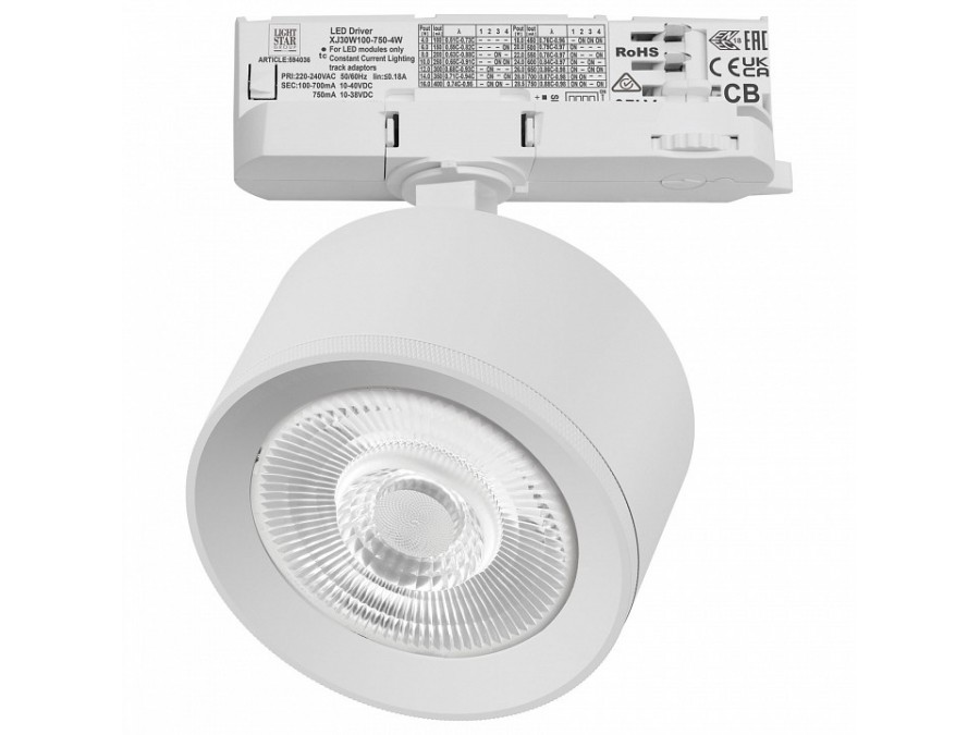 Светильник на штанге Lightstar Alta Pro A5546QT60G