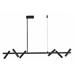 Светильник на штанге Aployt Honor APL.067.03.30