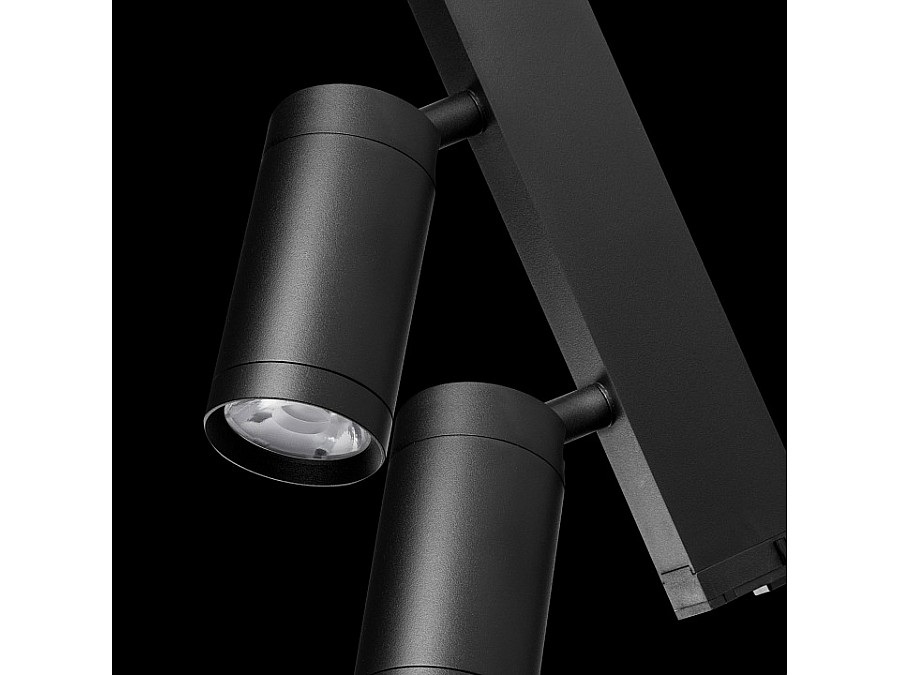 Светильник на штанге Lightstar Teta 205507