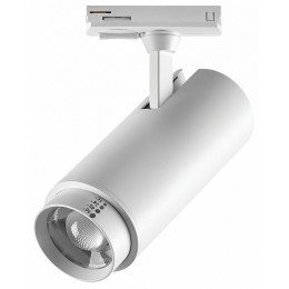 Светильник на штанге Lightstar Fuoco P+CCT 218026