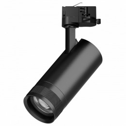 Светильник на штанге Lightstar Canno Pro C4207QT