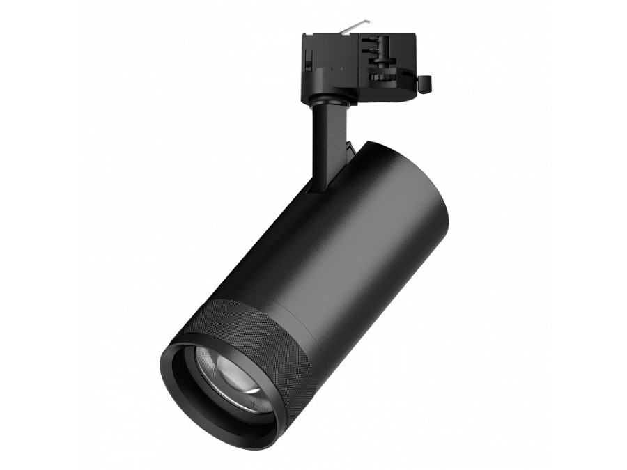 Светильник на штанге Lightstar Canno Pro C4307QT