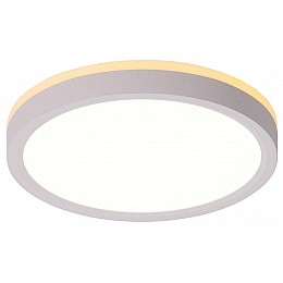 Накладной светильник Citilux NORMA CL748180