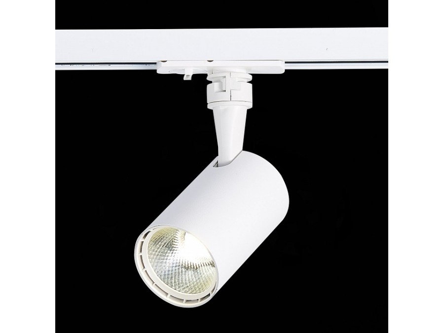 Светильник на штанге ST-Luce Cami ST351.546.10.36