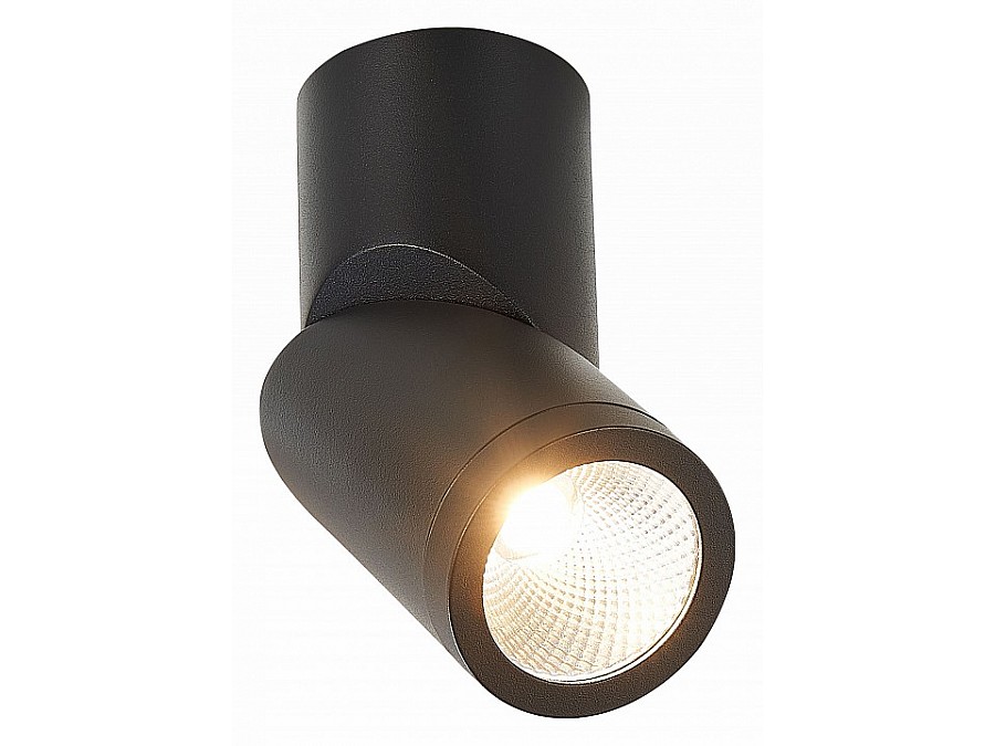 Светильник на штанге ST-Luce ST650 ST650.442.10