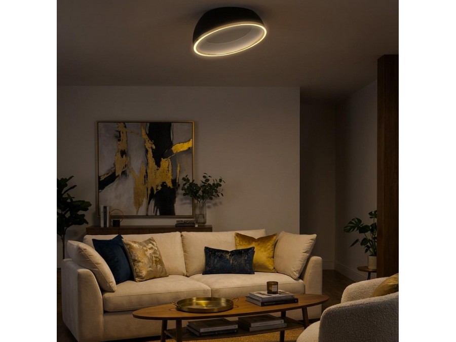 Накладной светильник Citilux FLOOM CL736151