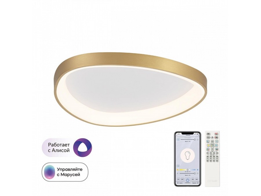 Накладной светильник Citilux GENKA SMART CL756A142